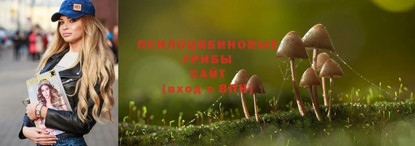 МДПВ Магадан