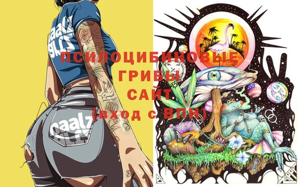 ешки Магас
