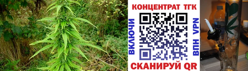 мега вход  Пошехонье  Дистиллят ТГК концентрат 