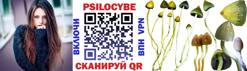 даркнет сайт  OMG как войти  Галлюциногенные грибы MAGIC MUSHROOMS  Пошехонье 