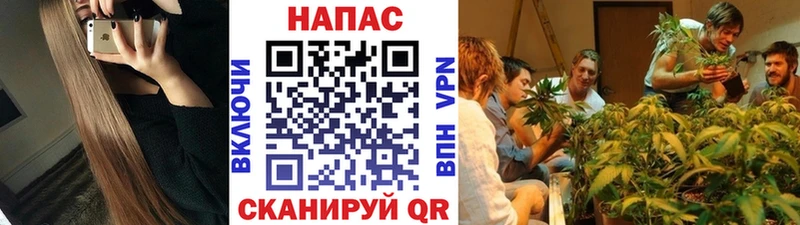 Бошки марихуана THC 21% где продают это состав Пошехонье
